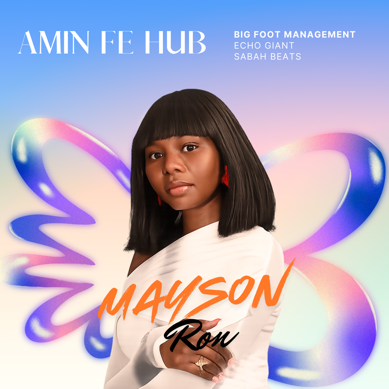 Amin Fe Hub cover artwork