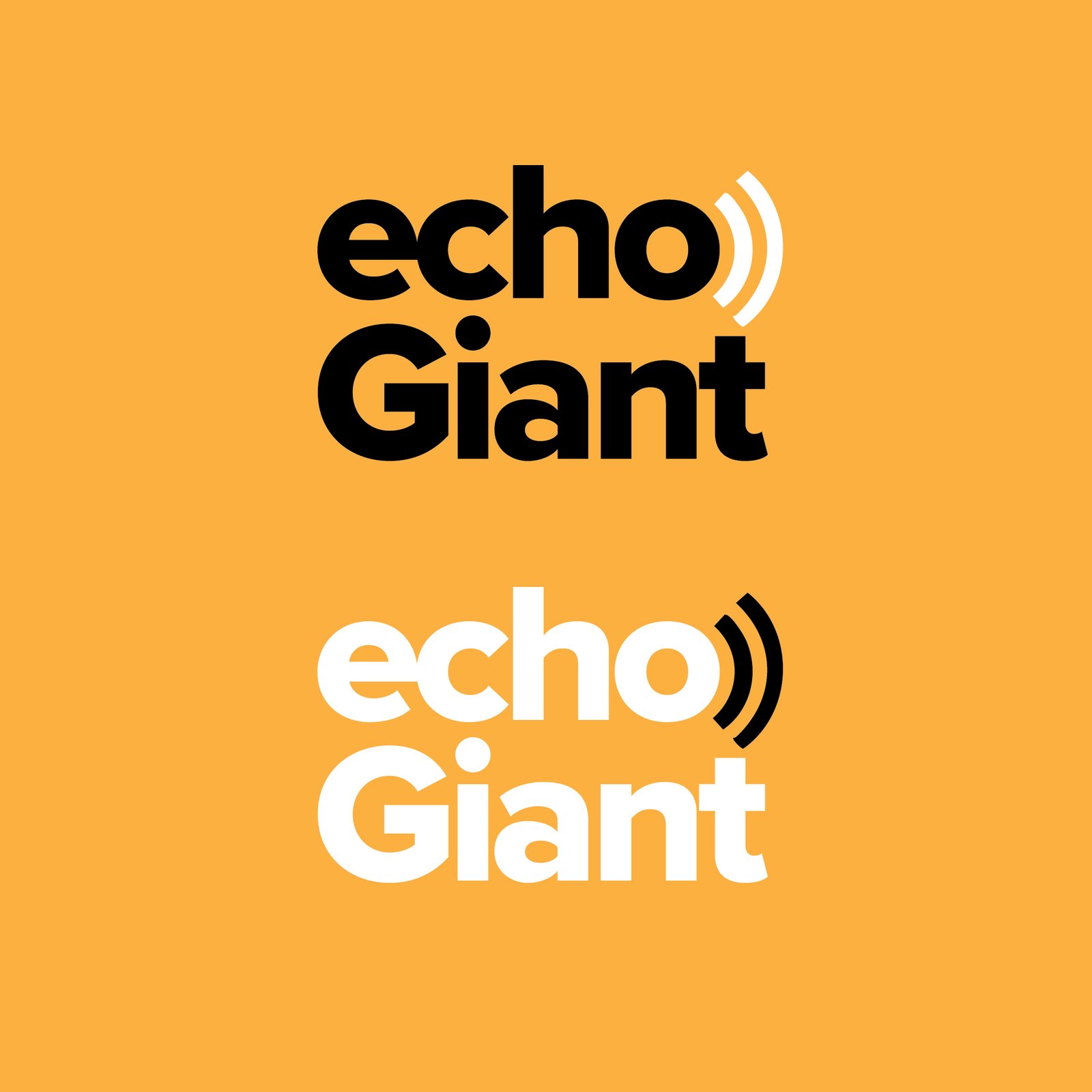 EchoGaint Sounds professional recording studio